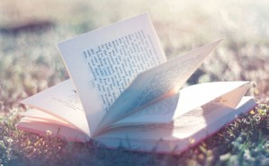 Learning How to Plan, Write, Revise and Publish Top Quality Papers in Top Quality Journals视频教程 Donal