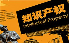 知识产权与社会福祉视频教程 黄武双 4讲 华东政法大学