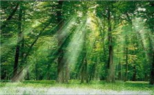 微生物固碳及其在CO2资源化中的应用视频教程 王磊 3讲 同济大学