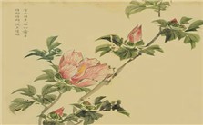 《诗经》中的婚姻与爱情视频教程 沈立岩 4讲 南开大学