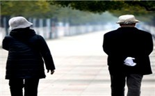 《春月》和我的父亲母亲视频教程 英达 4讲 其他