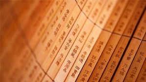 如何进入域外汉籍研究视频教程 王小盾 5讲 温州大学