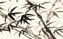 画竹与做人视频教程 侯文杰 3讲 陕西师范大学