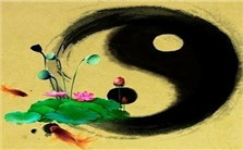 命理学中的修身齐家智慧视频教程 董向慧 3讲 天津《渤海早报》