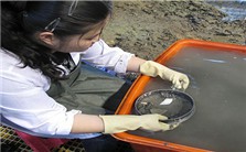 植物考古也是考古视频教程 赵志军 6讲 中国社会科学院