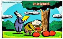 Social Managment by Law-General Observations视频教程 Heinz-Dietrich Steinmeyer 3讲 德国明斯特大学