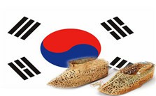 一千五百年前的呼唤——韩国全罗南道高兴郡雁洞古坟发掘纪实视频教程 成璟瑭 3讲 吉林大学