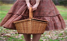 女生话题——女性的社会角色与“四自”视频教程 陈赫 5讲 中南大学