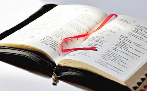 犹太教圣经《箴言》1-9章中的“外女”形象剖析视频教程 张靖 3讲 中国人民大学