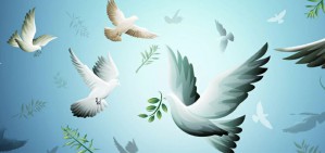 What is Peace Studies?视频教程 刘成 4讲 南京大学