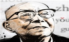 周有光先生对中国语文现代化的贡献视频教程 苏培成 5讲 北京大学