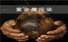 Air/Water/Soil Quality Assessment: Molecular Approach to Heavy Metal Contamination – XAS Analysis视频教