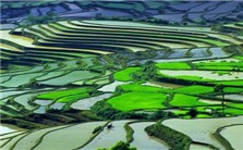 Moving up the Value Chain: Best Practices and Benchmarks for Community-based Tourism视频教程 Alan A. Lew