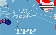 TPP是什么？视频教程 白巴根 6讲 湖南大学