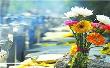 中国少数民族之丧葬文化视频教程 徐万邦 5讲 中央民族大学