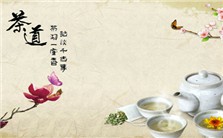 从来佳茗似佳人——中华茶文化讲座视频教程 蔡镇楚 6讲 湖南师范大学