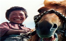 汉藏语系及其跨遗传谱系的承传--词与基因有阶分布的一种演化模式视频教程 陈保亚 5讲 北京大学