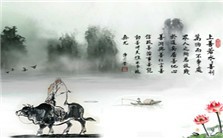 《老子》的“有为”与“无为而治”视频教程 白彤东 3讲 复旦大学
