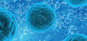 解读2016年诺贝尔生理学或医学奖视频教程 钱旭红 4讲 中国工程院