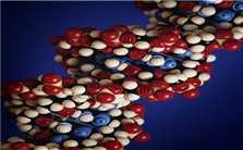 创新药物与生物<em>医药</em>产业发展前沿视频教程 尹正 4讲 南开大学