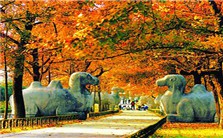 六朝历史与文化视频教程 贺云翱 3讲 南京大学