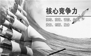 中国企业如何提高全球竞争力视频教程 霍建国 5讲 其他