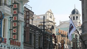 现代中国史学的南方学术网路视频教程 彭明辉 5讲 台湾政治大学