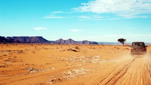 Land Acquisition for Mining，Women and Land in Africa视频教程 Mariam Kurtz 4讲 哈佛大学