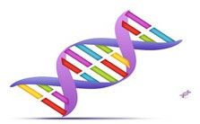 Computational Searches of Genomes for Non-Coding RNAS视频教程 Russell L. Malmberg 3讲 美国佐治亚大学