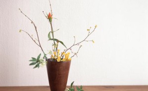家庭插花的选择和技巧视频教程 庄瑜敏 3讲 其他