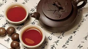 白茶黑茶与养生视频教程 邓鹏辉 4讲 彦娥堂茶学院