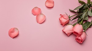 女人必须知道的真相-《中国剩女调查》分享会视频教程 罗爱萍 3讲 广州日报