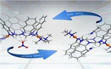 “看得到”的分子间作用力视频教程 彭军 4讲 东北师范大学