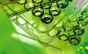 Effect of sulphurization conditions over CoMo catalysts SBA-15 supported on hydrodesulphurization视频教