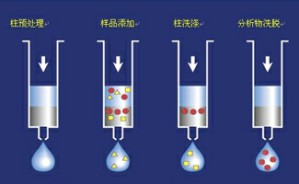 固相萃取的原理及应用视频教程 强维 3讲 上海安谱科学仪器有限公司