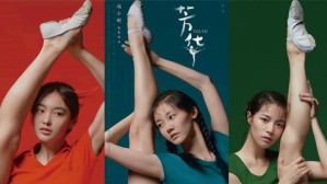 《芳华》现象与大众文化的生产秘密视频教程 赵勇 3讲 北京师范大学