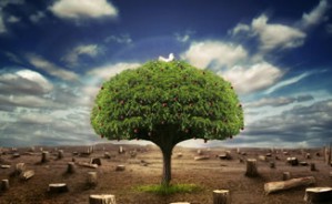 Environmental Grand Challenges for this Generation视频教程 John C. Crittenden 3讲 美国佐治亚理工学院