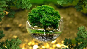 光与材料与节能<em>环保</em>视频教程 金平实 3讲 中国社会科学院