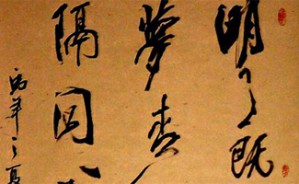 书法理论视频教程 庄因 3讲 美国斯坦福大学