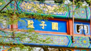《儒林外史》与明清科举文化视频教程 高日晖 4讲 大连大学