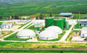 生物质<em>能源</em>产业沼气视频教程 程序 5讲 中国农业大学