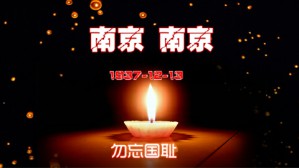 南京大屠杀史实的国际传播视频教程 王银泉 4讲 南京农业大学