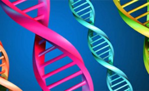 Chemical Biology:Chemical Opportunities in Genomics and Drug Discovery视频教程 张礼和 4讲 北京大学