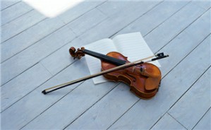 歌曲写作与小提琴演奏<em>入门</em>视频教程 刘朝 5讲 上海大学