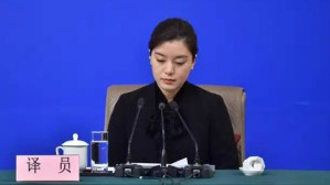 面向未来的翻译视频教程 王家新 5讲 中国人民大学