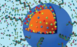 基因芯片技术及其应用视频教程 马文丽 5讲 南方医科大学