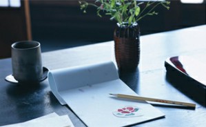 王力先生学术讲座：探索与创新——王力先生现代汉语语法研究之基本精神视频教程 陆俭明 4讲 北京大学