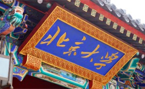 2010北京大学可视化发展前沿研究生暑期学校视频教程 袁晓如 5讲 北京大学