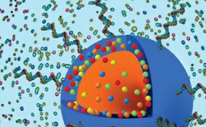纳米生物医学成像表征与生物界面视频教程 韩东 8讲 国家纳米中心