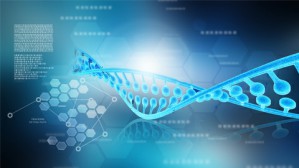 基因编辑：科学、伦理学和政策视频教程 邱仁宗 6讲 中国社会科学院